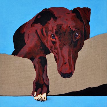 White Paw, portrait of a Greyhound - 6